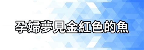 夢見魚是什麼意思|夢見魚是什麼意思？做夢夢見魚好不好？